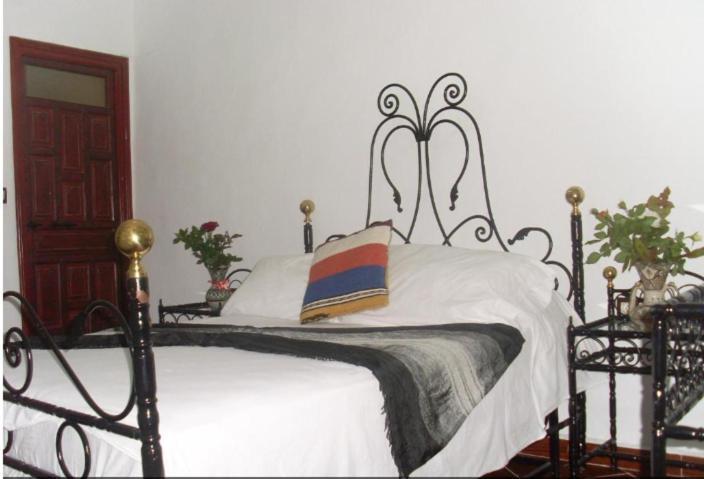 Hostel The Atlas Lion Tangier Bagian luar foto
